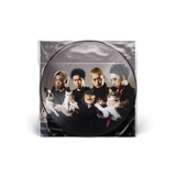 HOOMAN AFTER ALL 12” Vinyl Picture Disc PREORDER