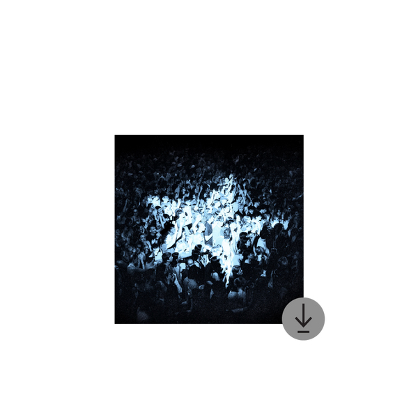 Everything Every Single Day Digital Download