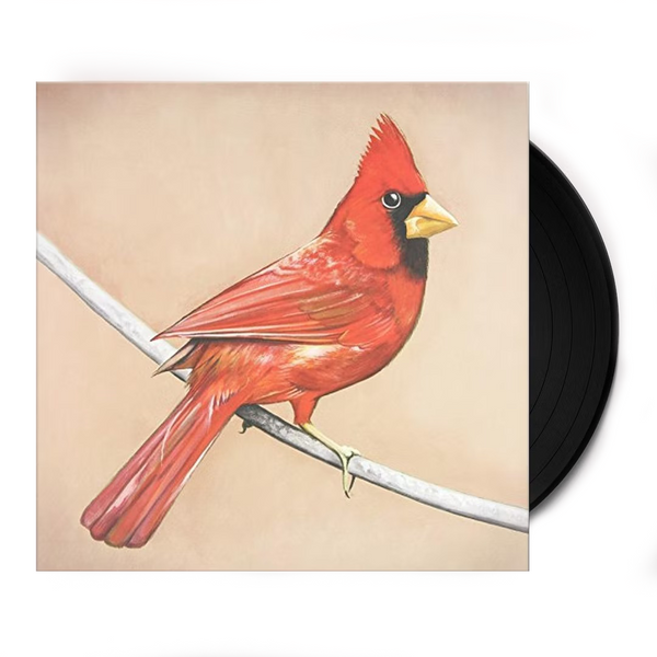 Old Crows / Young Cardinals 2LP Vinyl (45RPM, Gatefold)