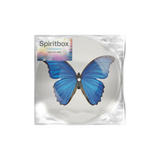 Constance 7" Vinyl (Butterfly Picture Disc)
